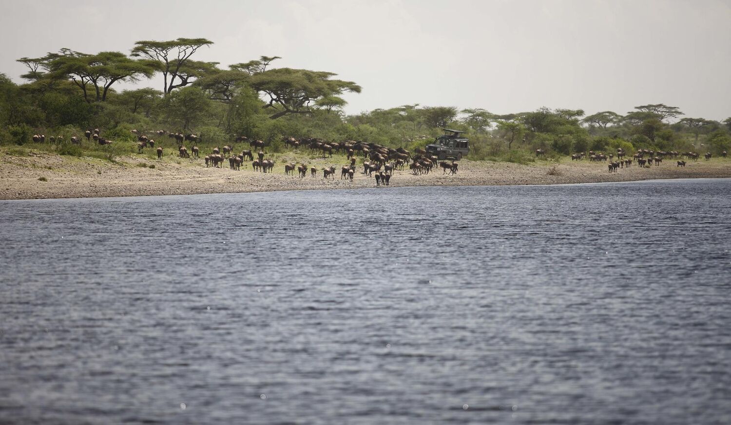 PlaceholderImage1302